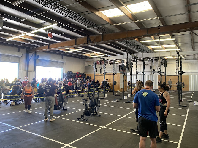 Osos Negros Gym