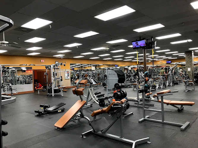 Bailey’s Health & Fitness
