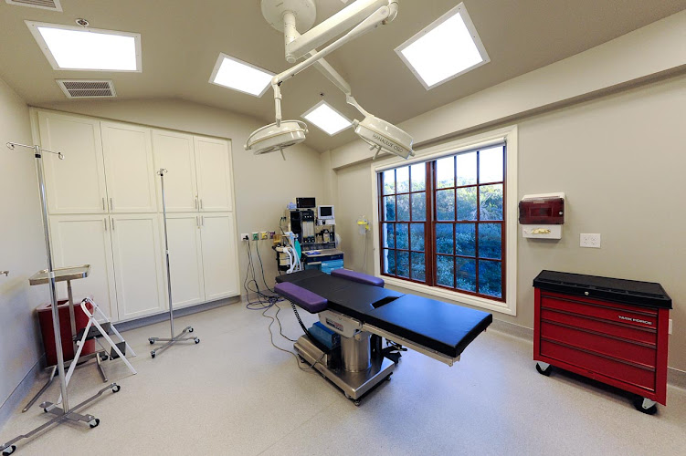 Louis William Apostolakis M.D.