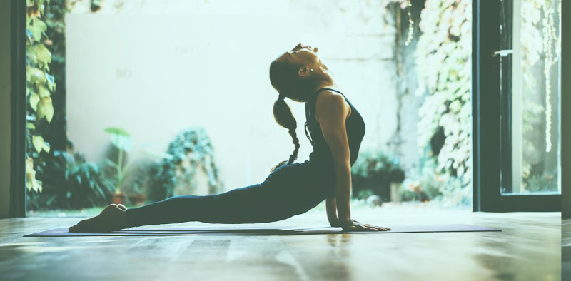 The Pain Relief and Wellness Center