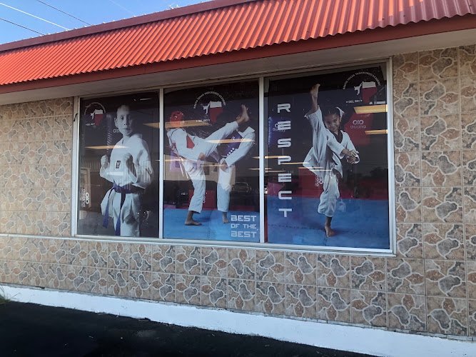 South texas Taekwondo Academy