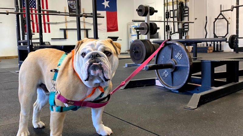 Burkburnett Fitness Center