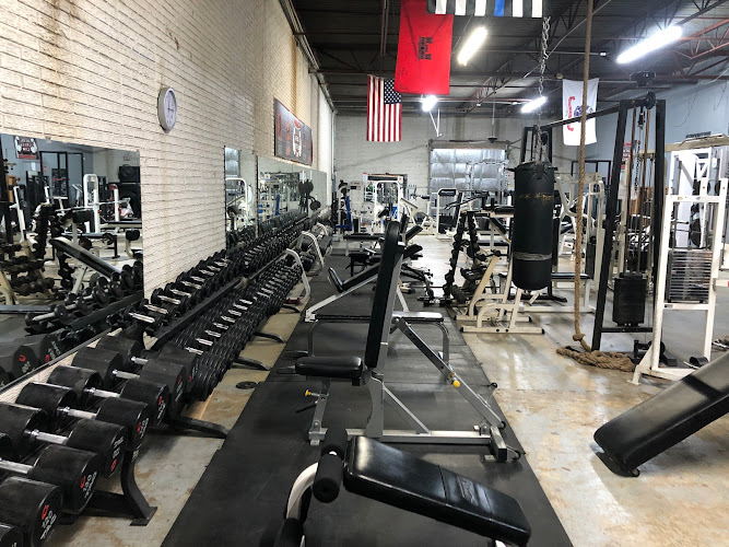 Real Steel Gym