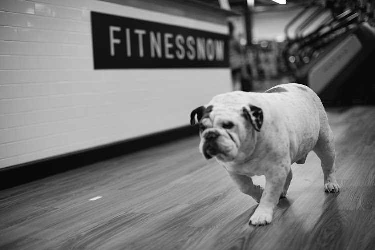 Fitness Now