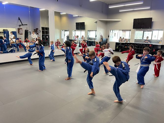 Professional Black Belt Academy – Prosper