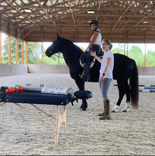 DCS Physical Therapy