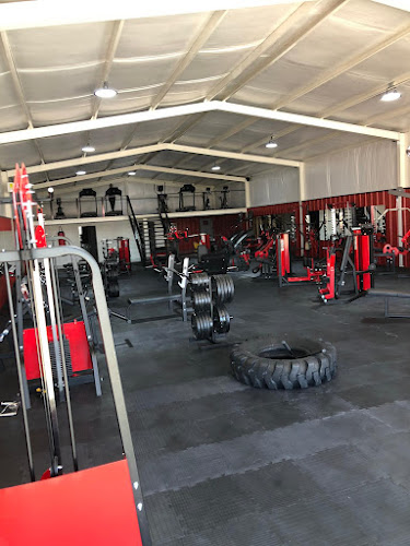 Aesthetic Fitness LLC