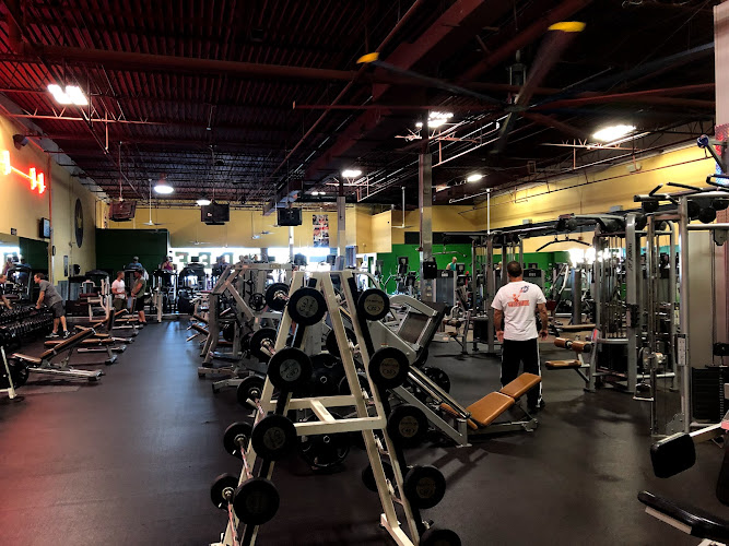 The Gym (TG) Dunedin