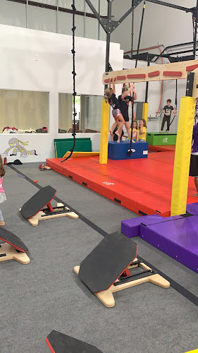 USA Ninja Challenge – The Woodlands, TX