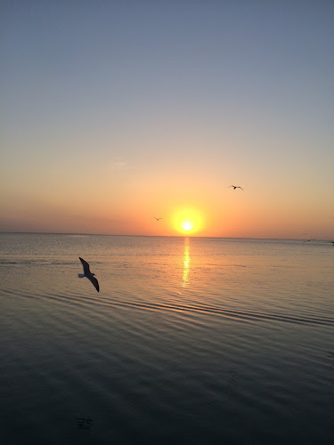 Beacon of Light in Recovery