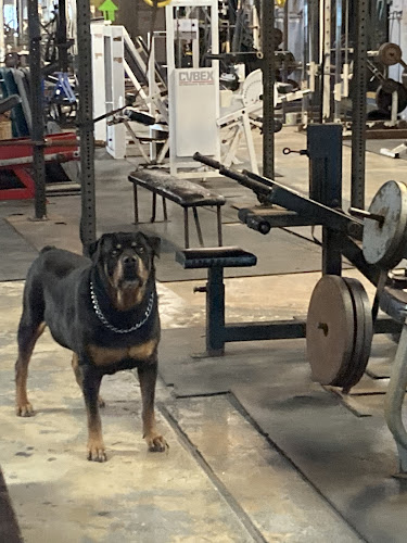 Old Town Fitness