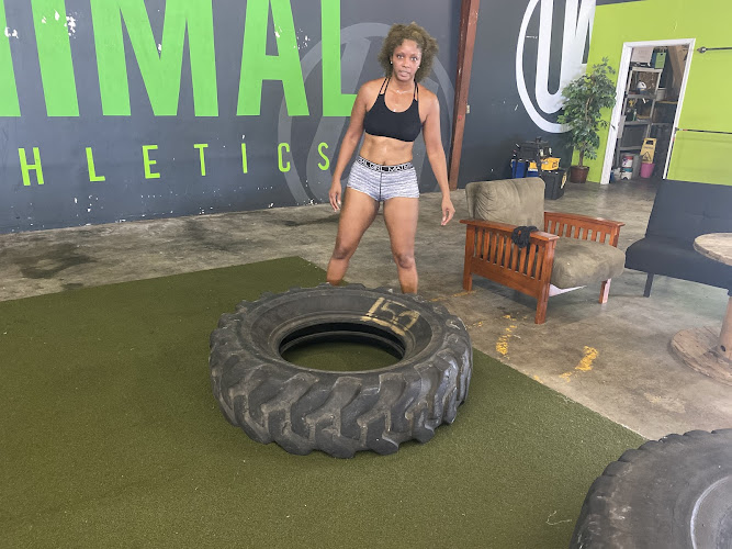 Urban Animal Fitness
