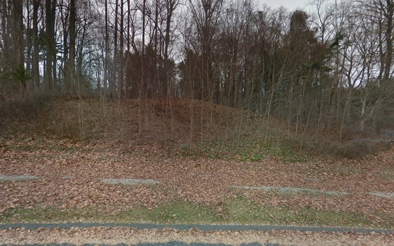 Fairfield Aesthetics Club