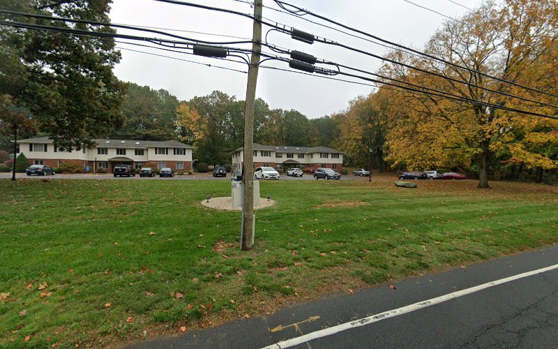 physical therapy plus