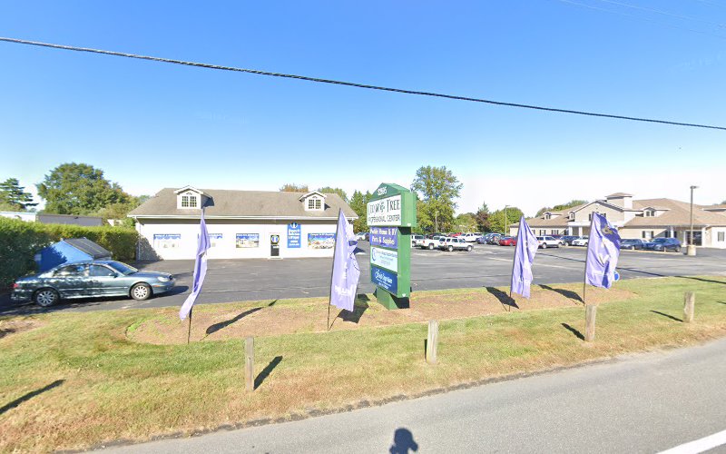 Old Towne Physical Therapy